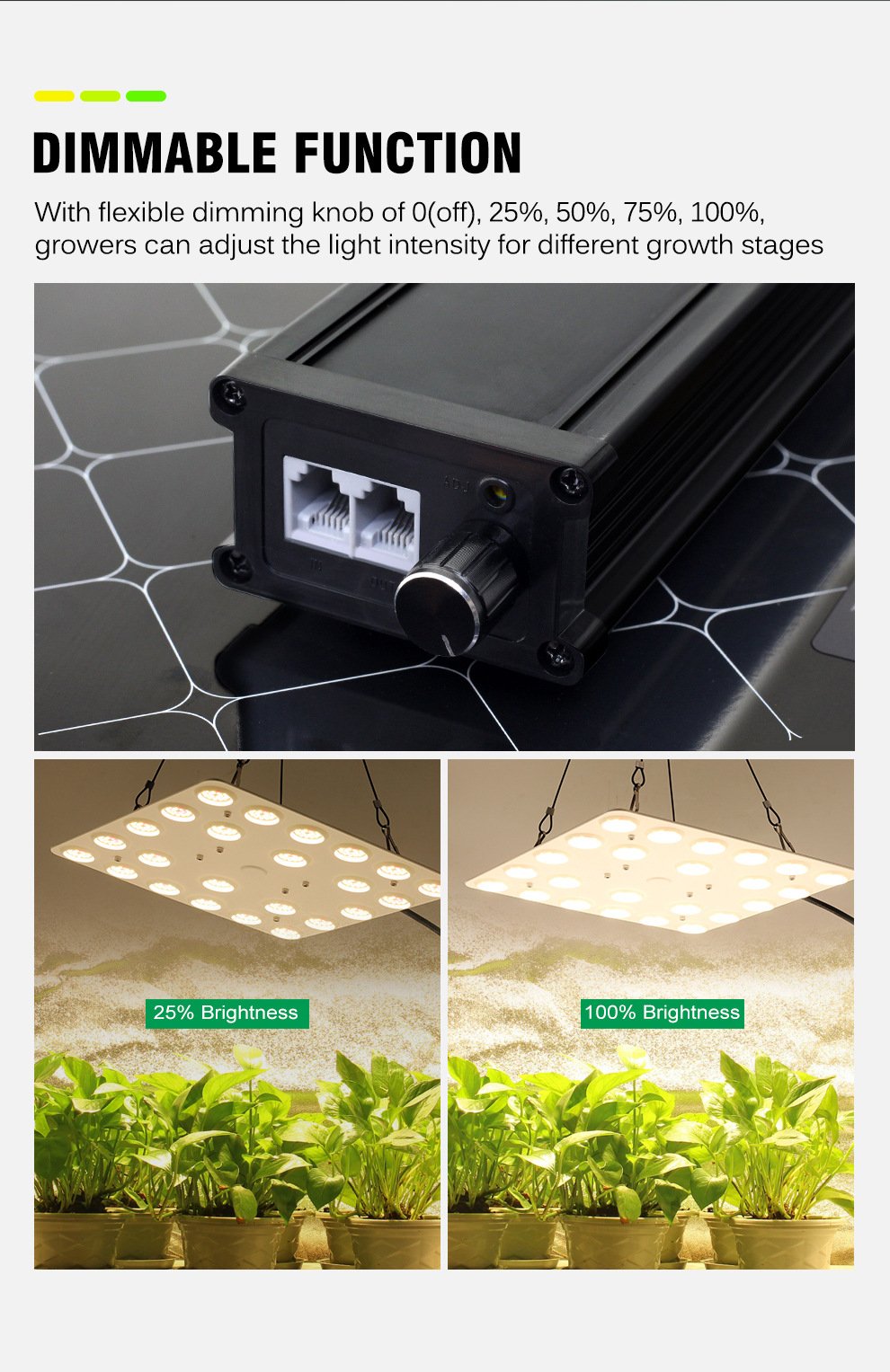 1oow full spectrum led grow lighte