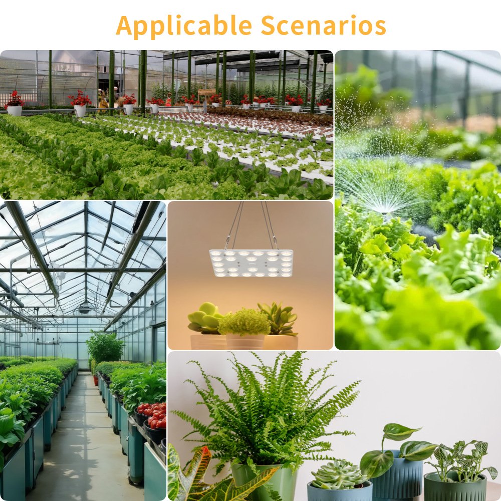 1OOW Full spectrum LED GROW LIGHTE 1oow full spectrum led grow lighte