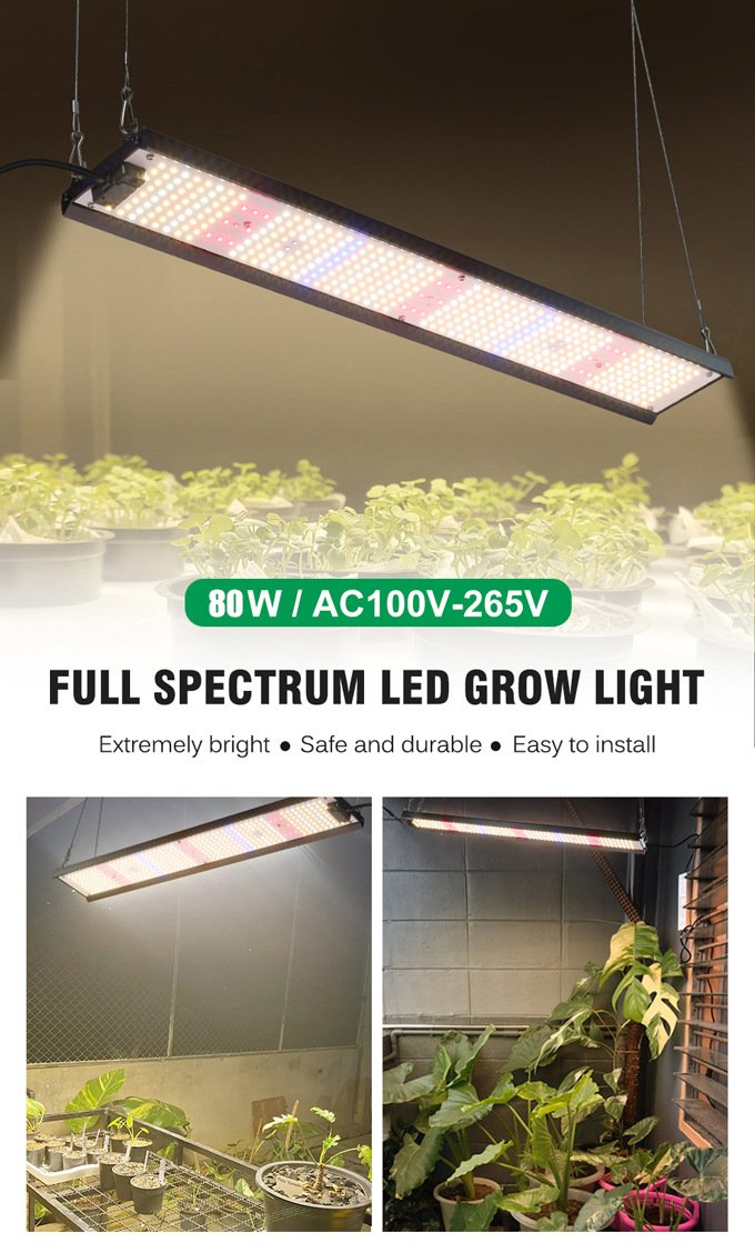 High Performance Price Ratio Grow Light high performance price ratio grow light