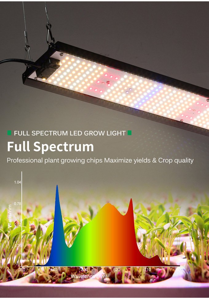 High Performance Price Ratio Grow Light high performance price ratio grow light