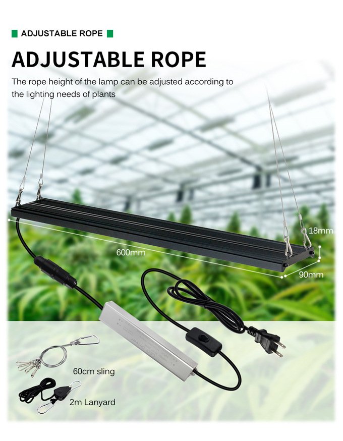 High Performance Price Ratio Grow Light high performance price ratio grow light