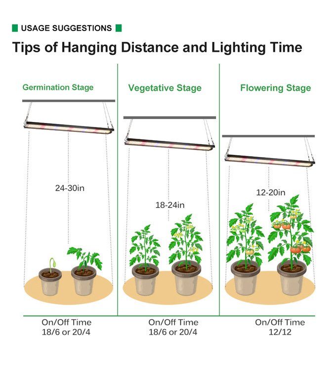 High Performance Price Ratio Grow Light high performance price ratio grow light