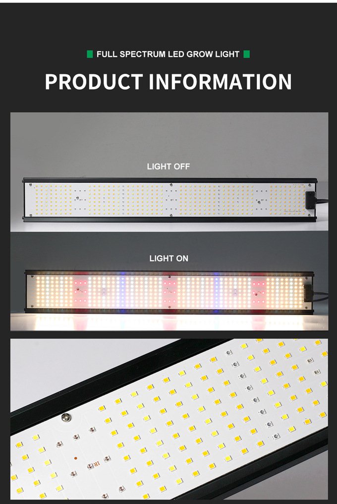 High Performance Price Ratio Grow Light high performance price ratio grow light