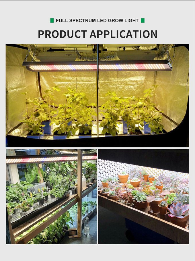 High Performance Price Ratio Grow Light high performance price ratio grow light