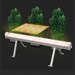 high ppfd under canopy led grow light