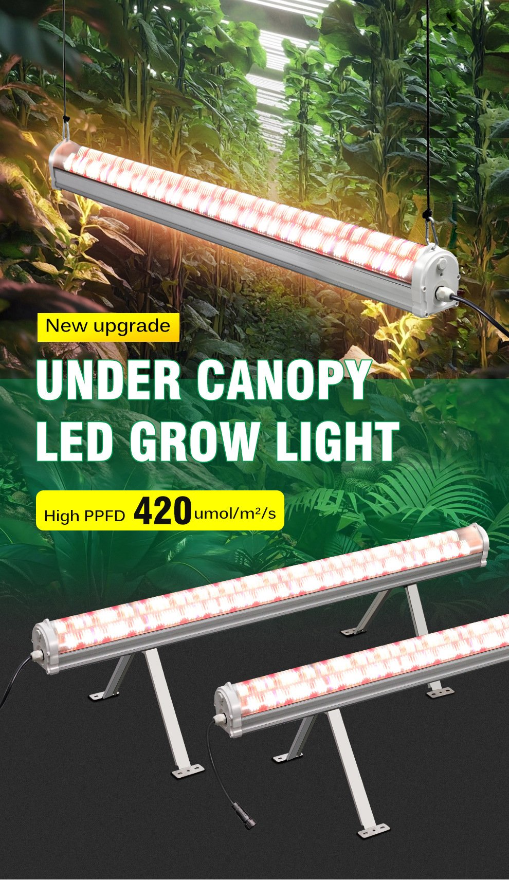 high ppfd under canopy led grow light