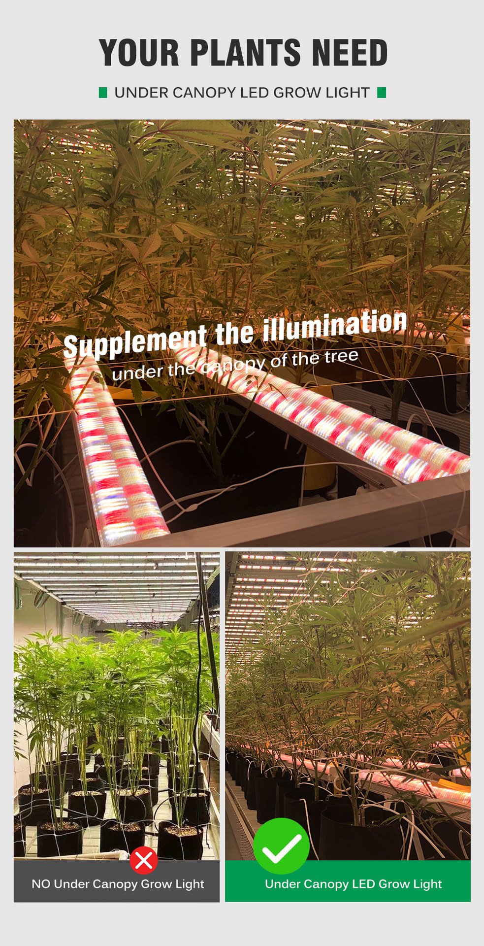 high ppfd under canopy led grow light