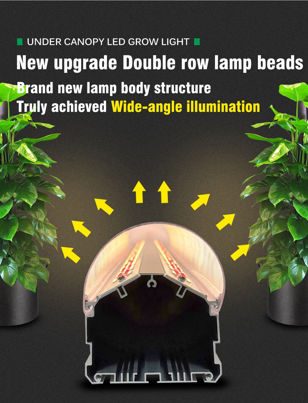 high ppfd under canopy led grow light