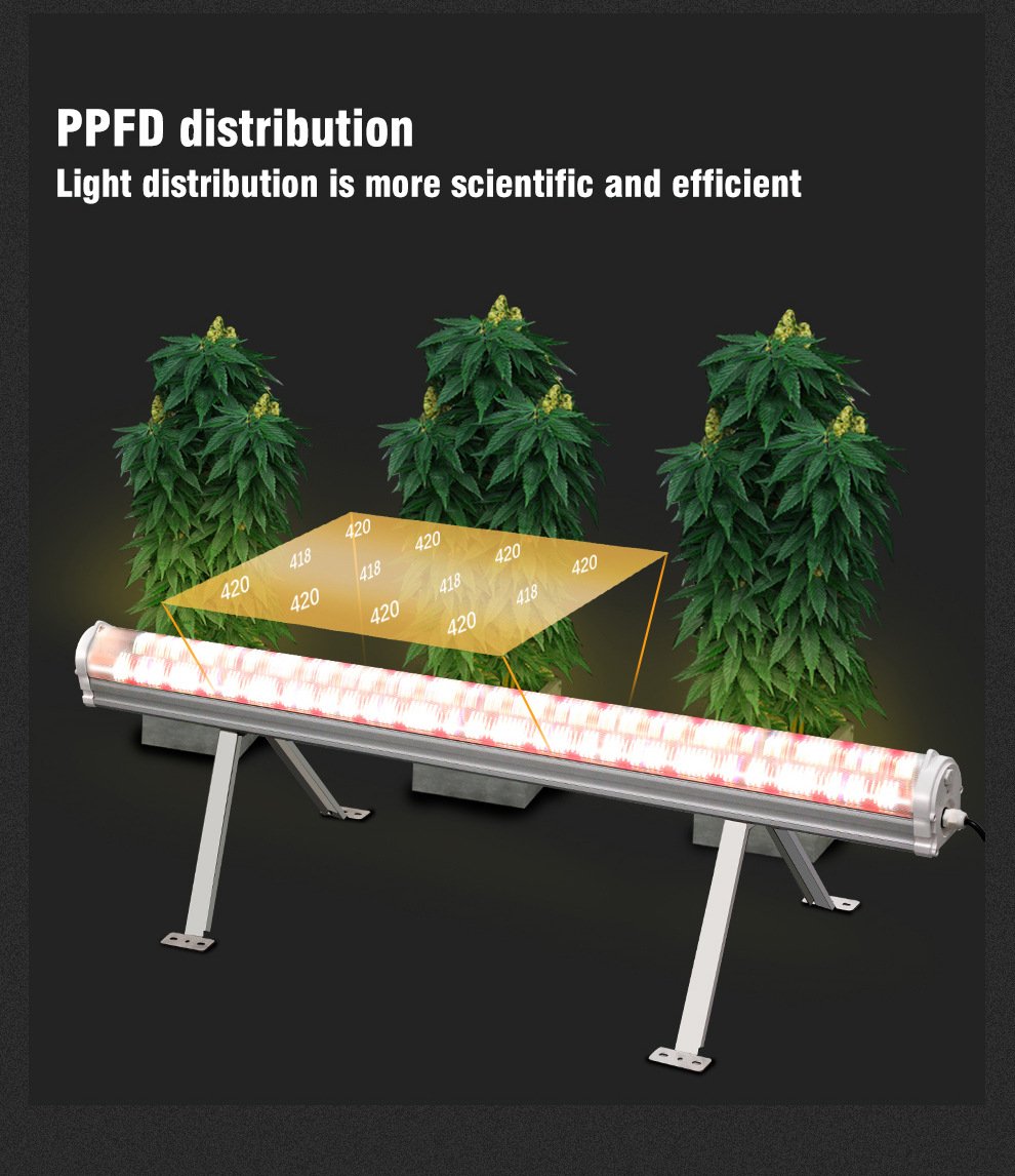 high ppfd under canopy led grow light