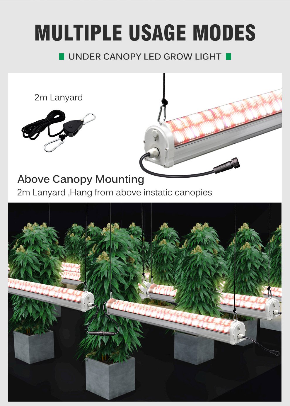 high ppfd under canopy led grow light