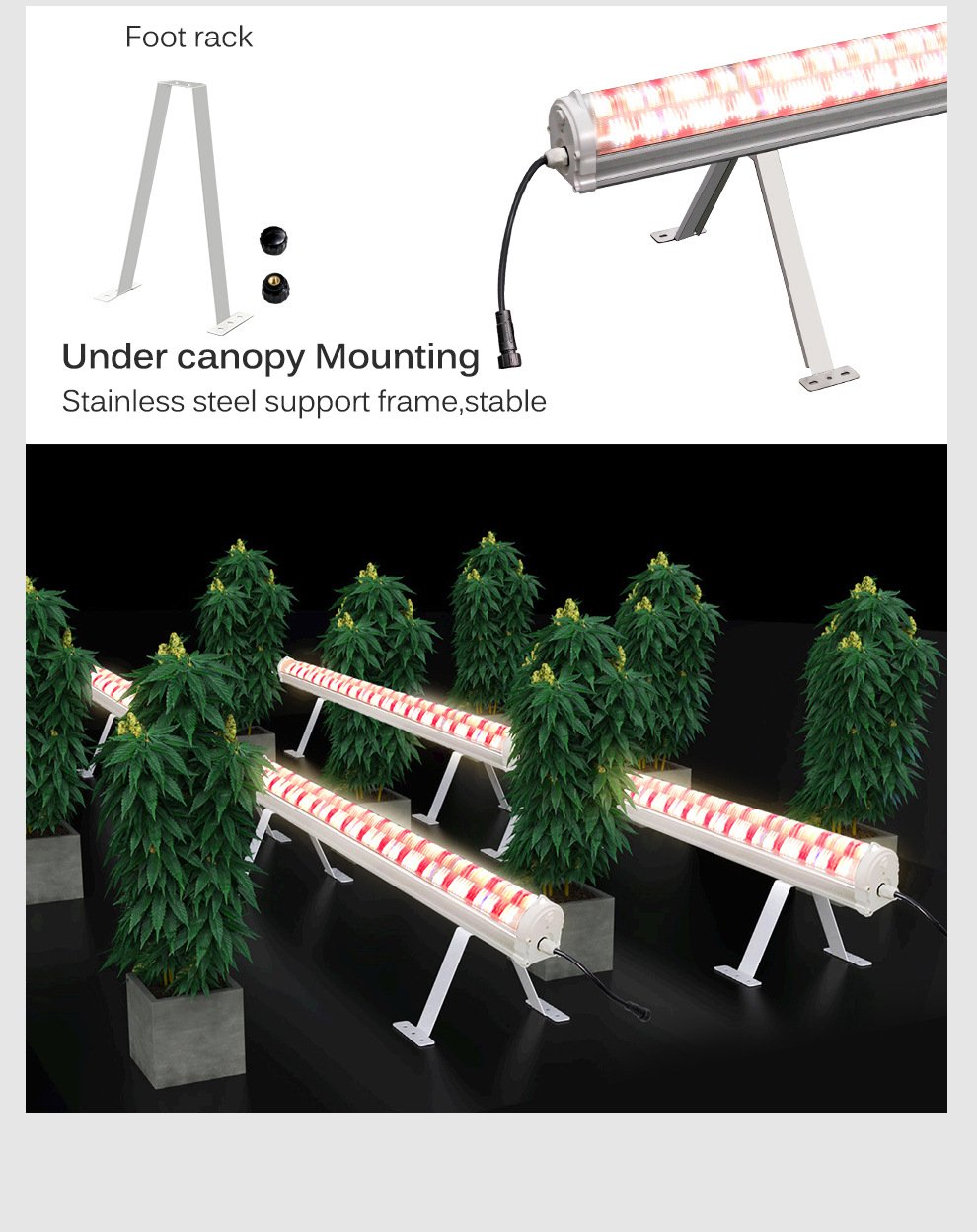 high ppfd under canopy led grow light