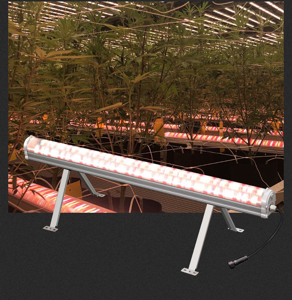 high ppfd under canopy led grow light