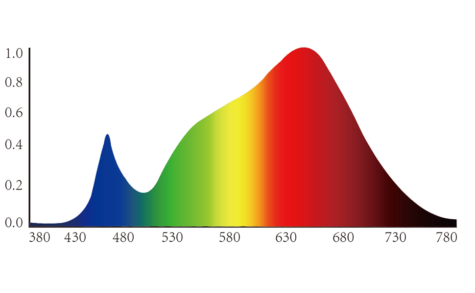 The Role of Different Light Spectra on Various Plant Growth Stages 详情3光谱图