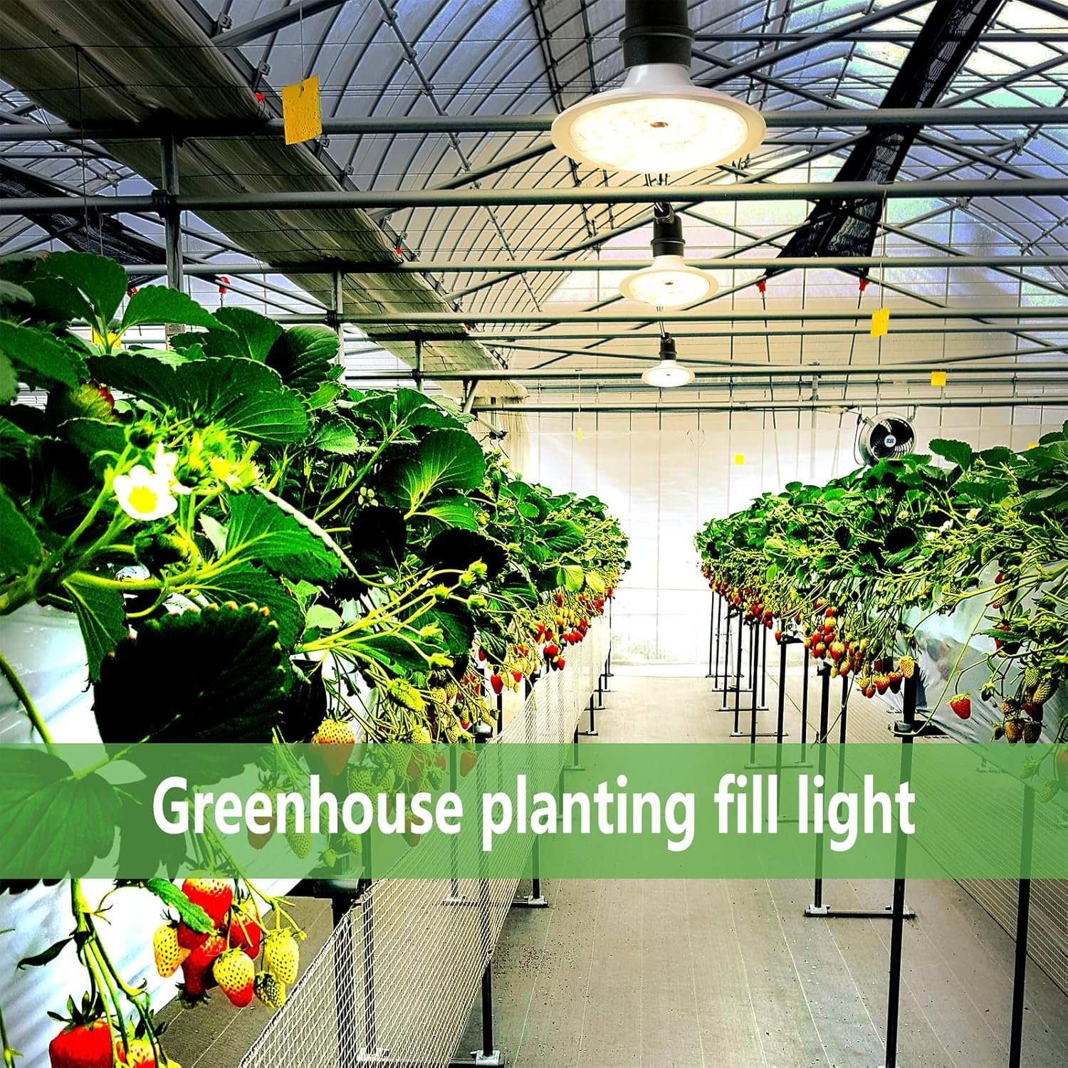 outdoor led grow lights