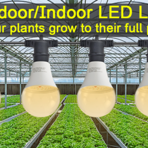 economical led string grow lights