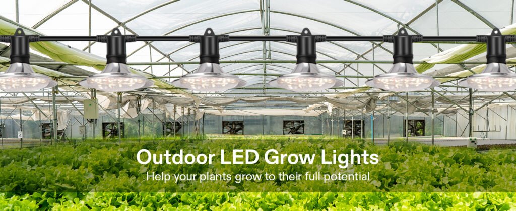 outdoor led grow lights
