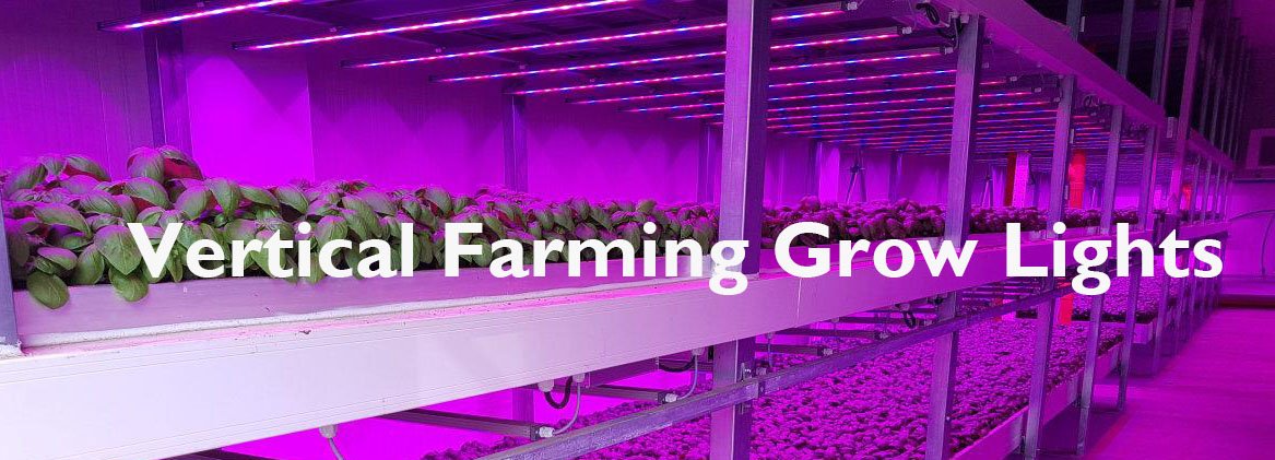 vertical farmig grow lights