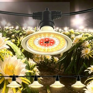 Orchard/Speciality Crop Lights