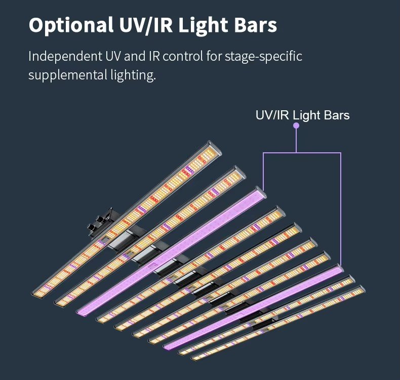 uv